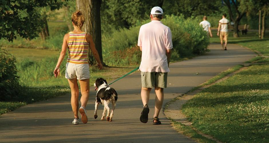 Cãominhada oferecerá diversão e conhecimento