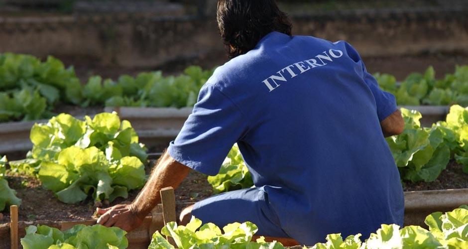 Detentos terão vagas de trabalho garantidas por lei na Capital