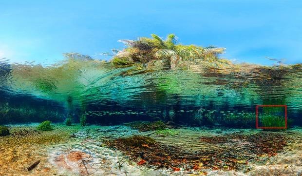 Foto panorâmica de rio de MS entra para Guinness como maior sob água