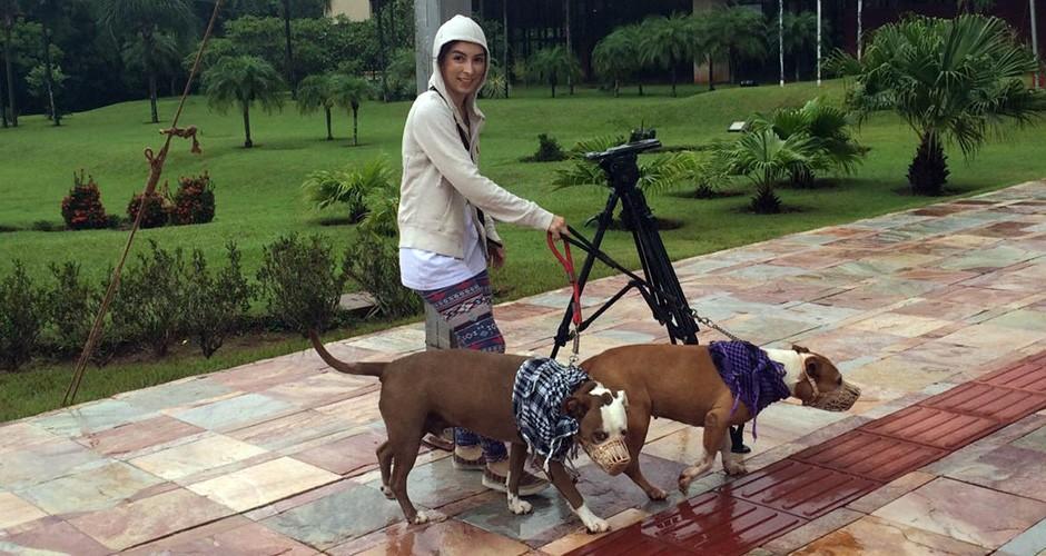 Cãominhada é adiada para 6 de março