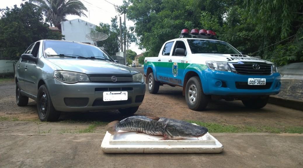 Em três meses de Operação Piracema, PMA autua 30, apreende 454 kg de pescado e aplica R$ 69,2 mil em multas
