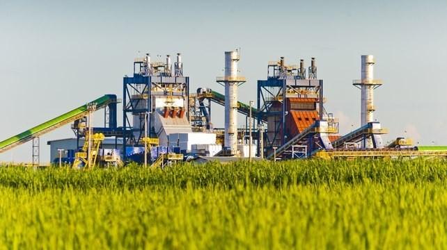 Usinas do Brasil elevarão produção de açúcar para nível perto de recorde