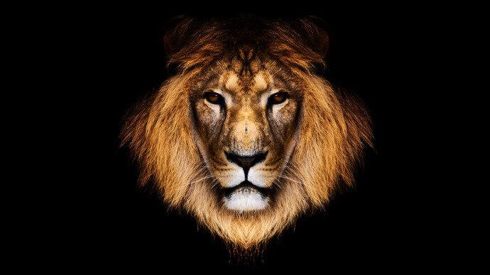 Receita libera lote de declarações do IR retidas na malha fina