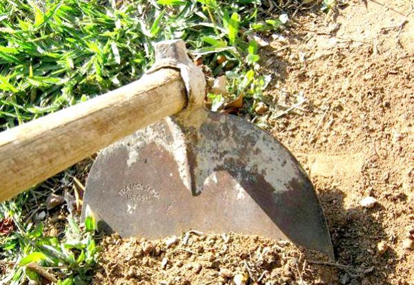 Cunhado agride rapaz de 26 anos com golpes de enxada para defender a irmã