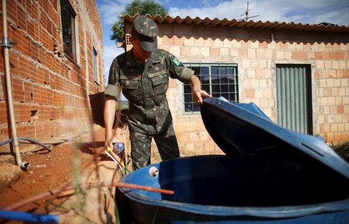 Laboratório diz que testes de vacina contra Zika tiveram resposta positiva em ratos