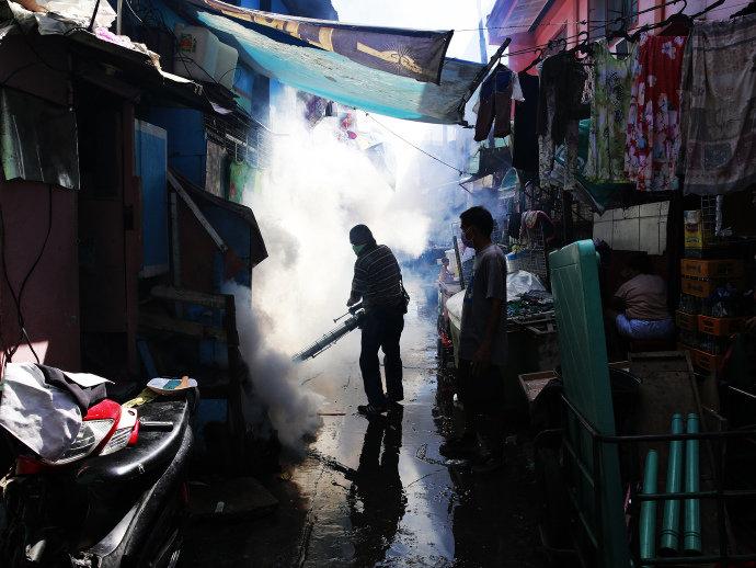 OMS lança plano de US$ 56 milhões para combater o zika vírus