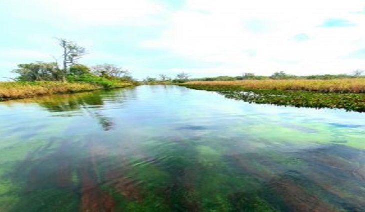 Fundtur faz live de capacitação sobre o turismo do MS para 17 países da América Latina