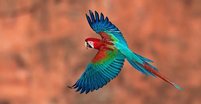 Consulta Pública para criação do Refúgio de Vida Silvestre em Jardim será no dia 25