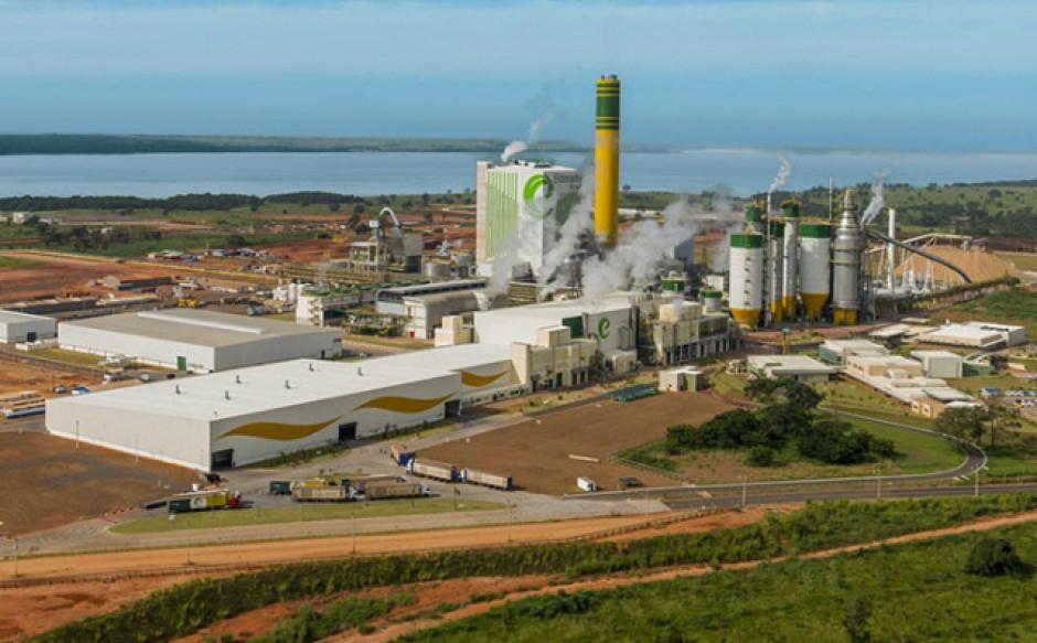 Eldorado Brasil seleciona estagiários em Três Lagoas