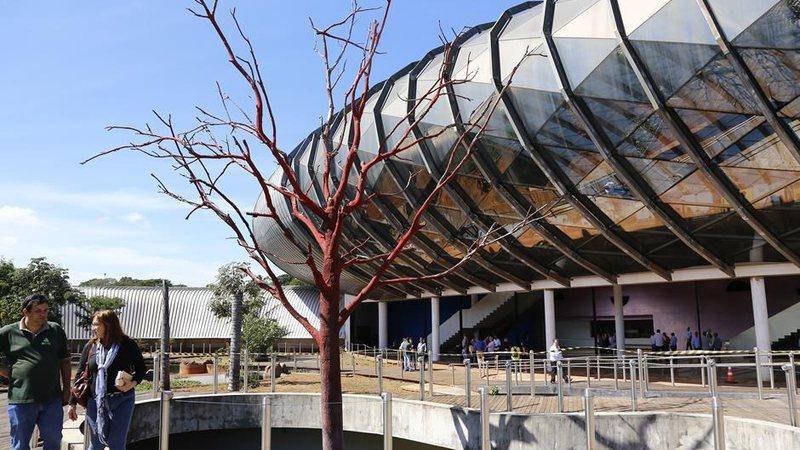 Para concluir e deixar em funcionamento automação do Aquário do Pantanal, empresa terá 7 meses