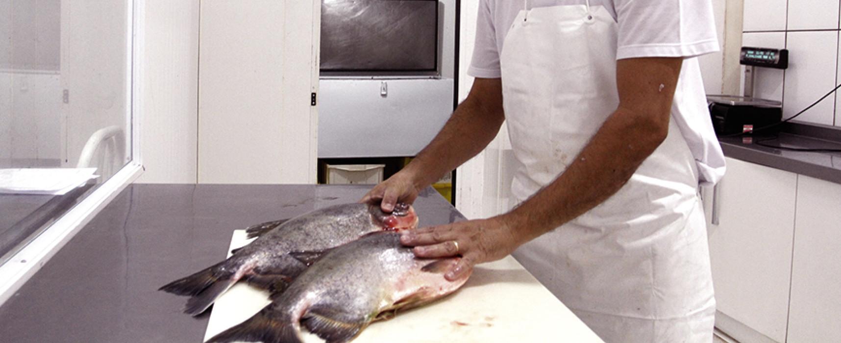 Alimentação na quaresma chega a custar R$ 384