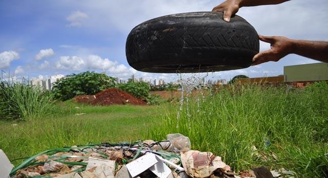 Sesau registra 6,5 mil casos de dengue por mês