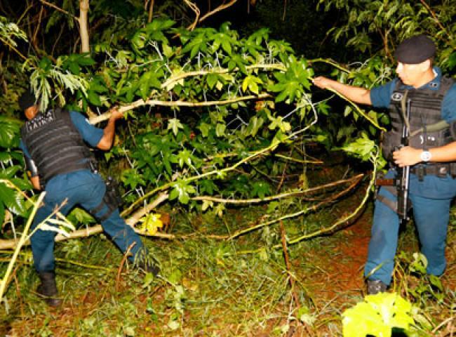 Carro de estudante sequestrada e ameaçada de abuso é encontrado em matagal