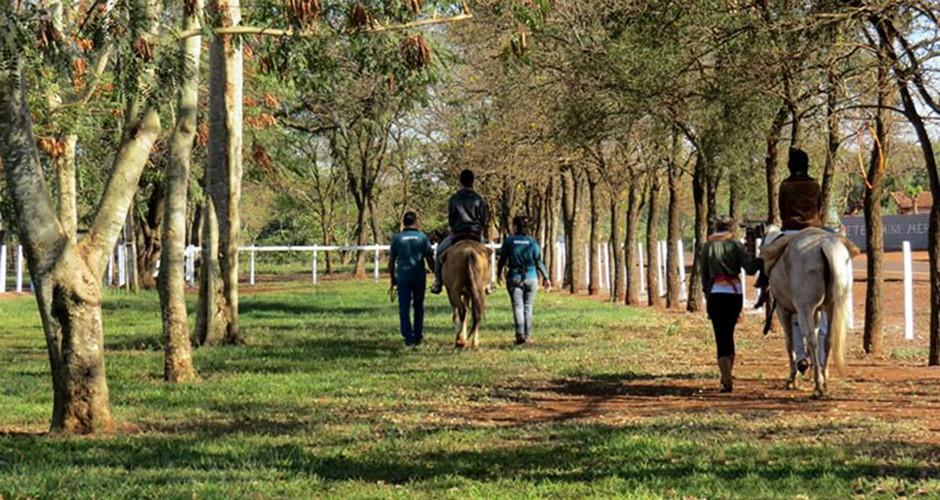 Equoterapia ajuda crianças especiais em Rio Brilhante