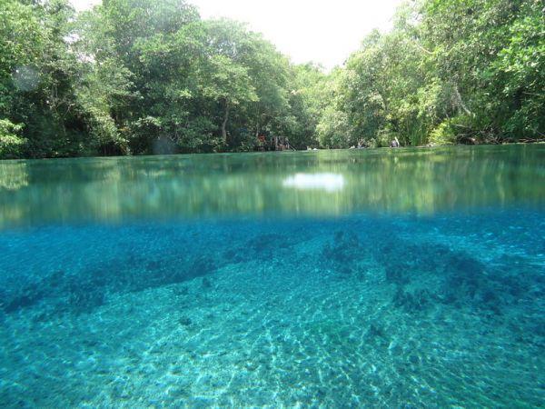 Consulta Pública para Refúgio da Vida Silvestre em Jardim é suspensa
