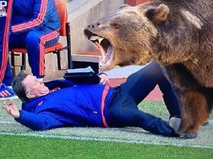 Vídeo: Van Gaal se candidata ao Oscar de melhor protesto contra a arbitragem