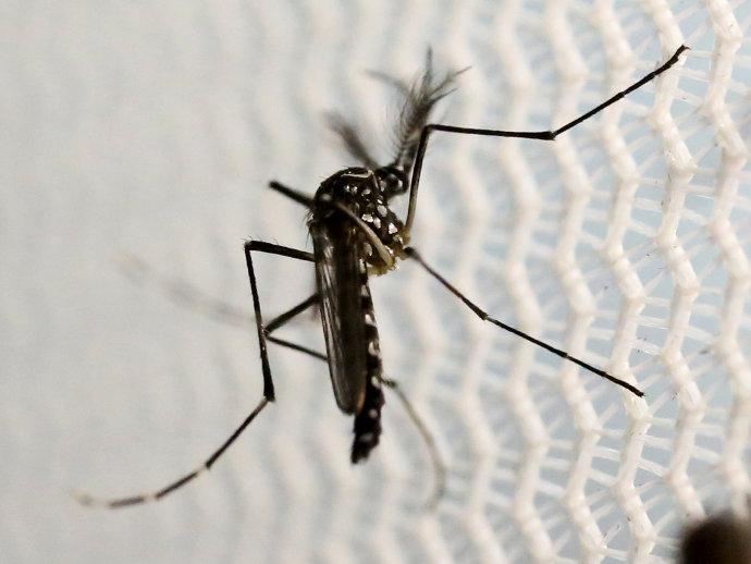 Crescem as evidências da relação entre zika e Guillain-Barré