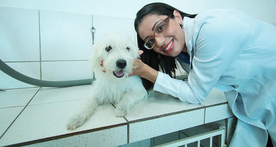Resgatados e tratados, pets esperam por um lar