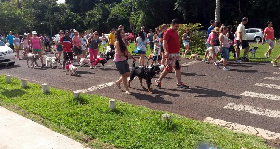 Cãominhada percorre um 1 km no Parque dos Poderes