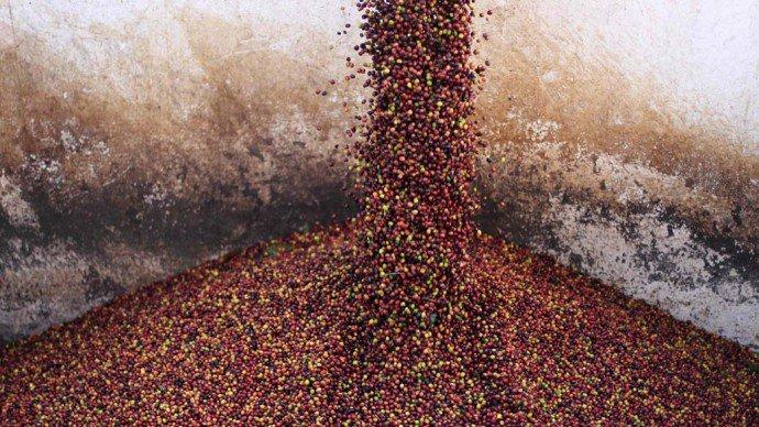 Agronegócio teme efeitos da paralisia do Congresso