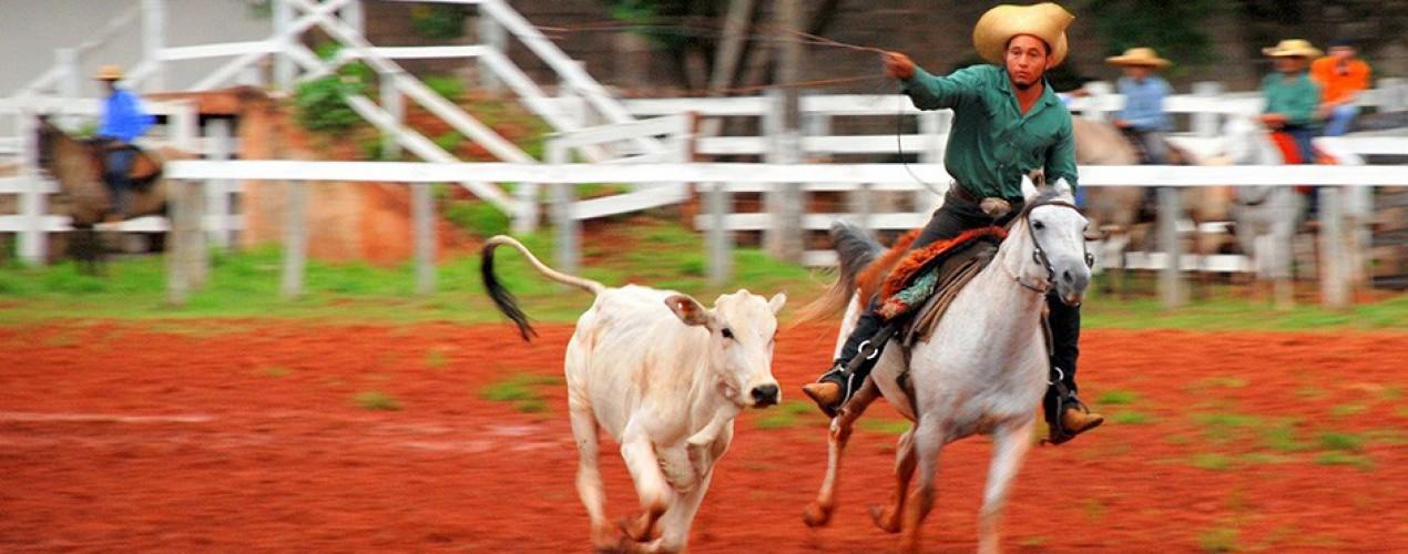 Expogrande volta a ter o Baile do Fazendeiro