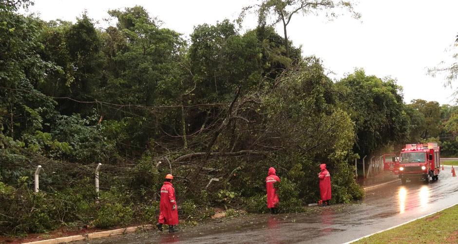 Chuvas causam estragos na Capital e interior de MS