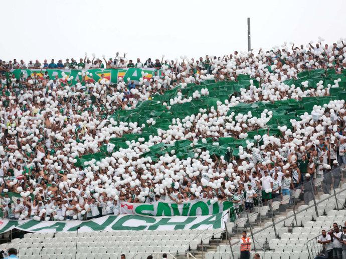 Ministério Público suspende torcida organizada do Palmeiras