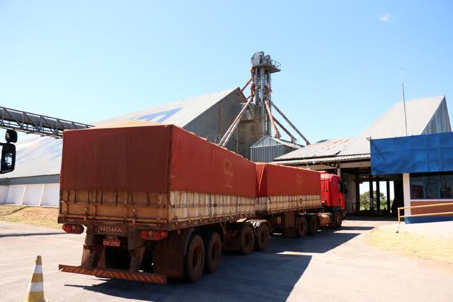 Terminal de Porto Murtinho recebe soja para exportação
