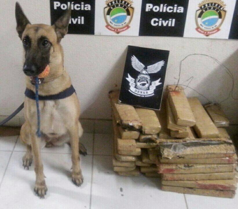 Três são presos acusados de tráfico de drogas e veículos apreendidos