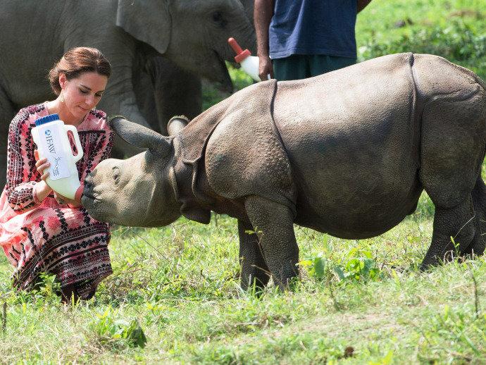 Casal real britânico William e Kate faz safári na Índia