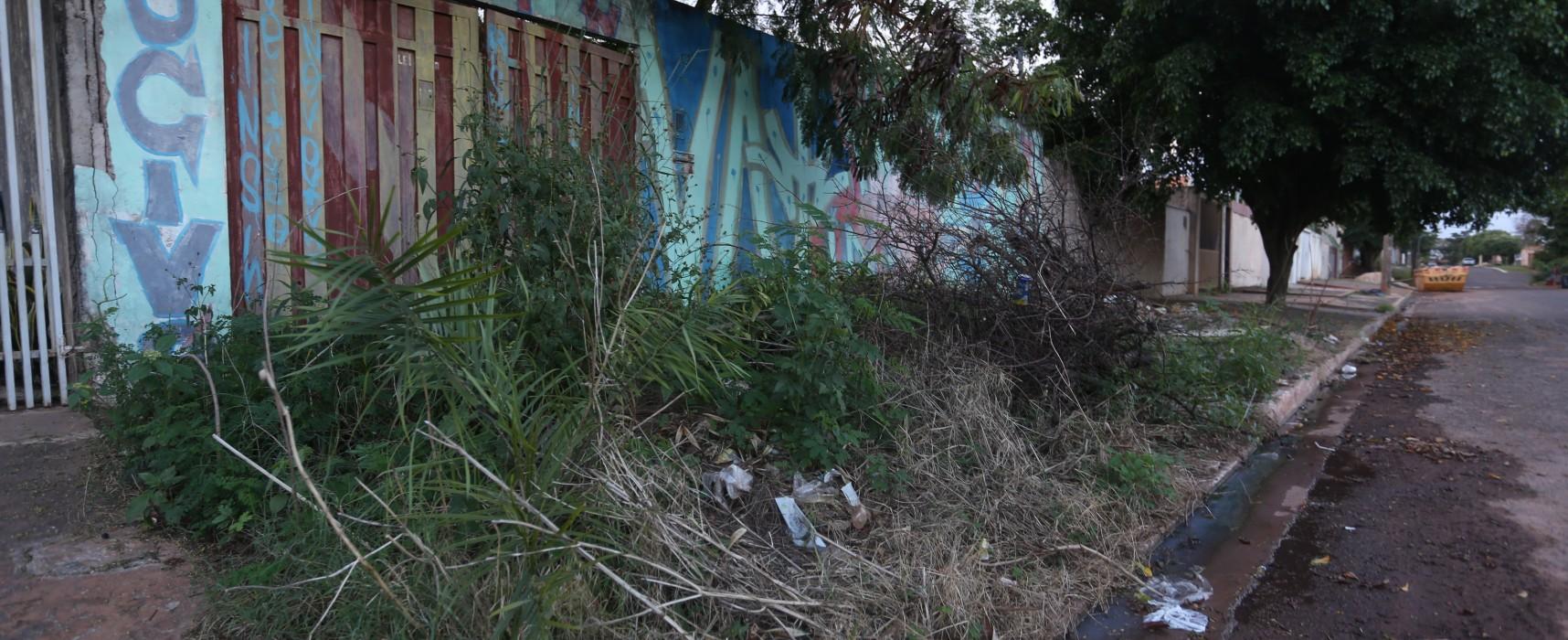 Donos de ‘criadouros do Aedes’ serão multados