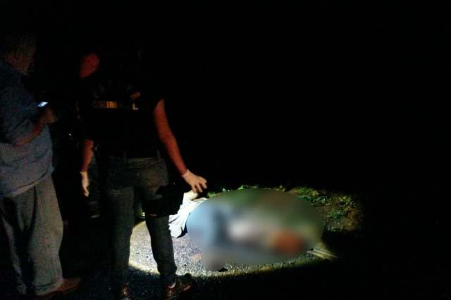 Homem morre atropelado em rodovia e condutor foge