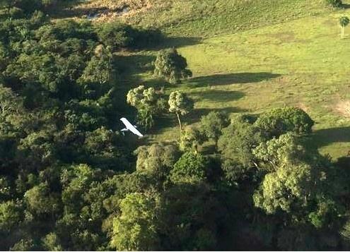 Polícia encontra 400 quilos de cocaína e munições em avião boliviano