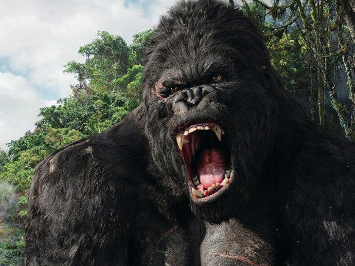Warner é acusada de plágio por novo filme do King Kong