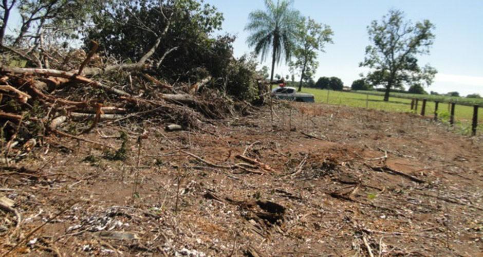 PMA autua três assentados por irregularidades ambientais