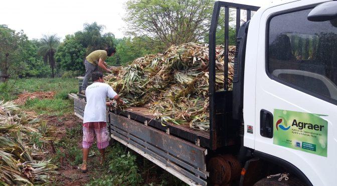 Agraer compra 32 caminhões por mais de R$ 7,5 mi