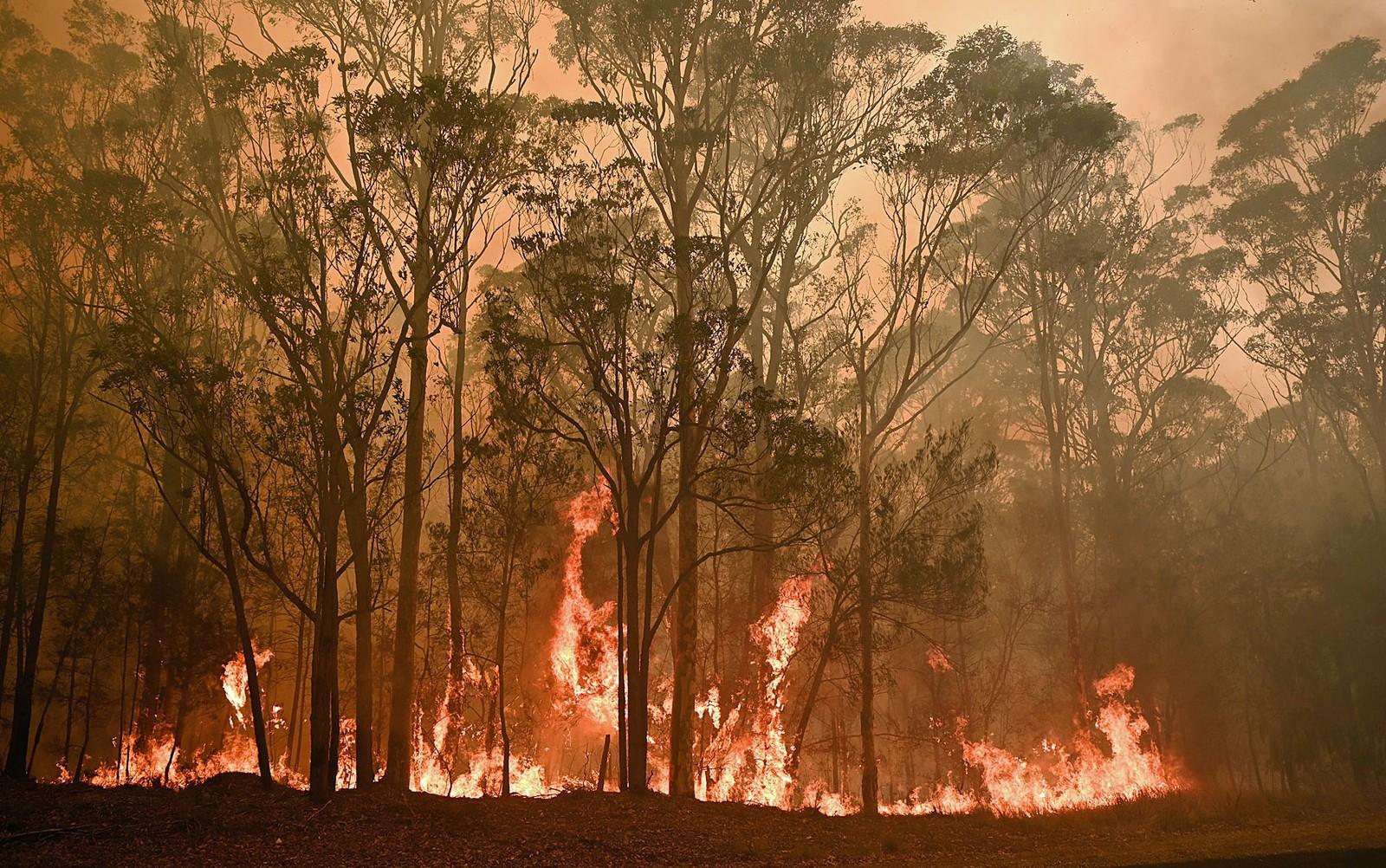 Austrália convoca reservistas para combater incêndios