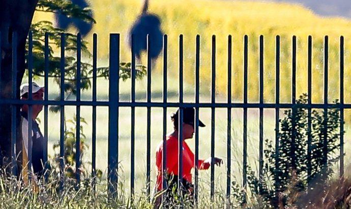 No dia da votação do afastamento, Dilma abre mão de pedalar