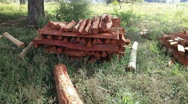 Fazendeiro é autuado em R$ 6,5 mil por exploração ilegal de madeira em Bela Vista