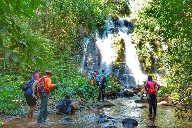 Do Pantanal a Jaraguari, Mato Grosso do Sul tem diversas opções de turismo para quem gosta da natureza