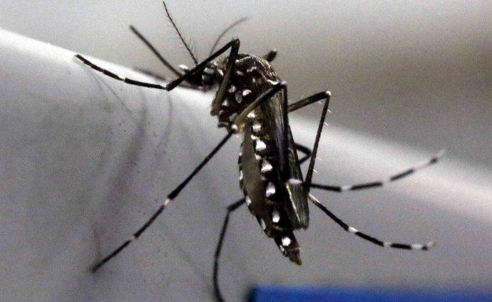 Rio-2016: australianos terão preservativos que protegem contra o zika