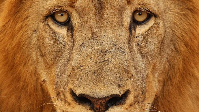 Contribuinte já pode saber se caiu na malha fina do IR