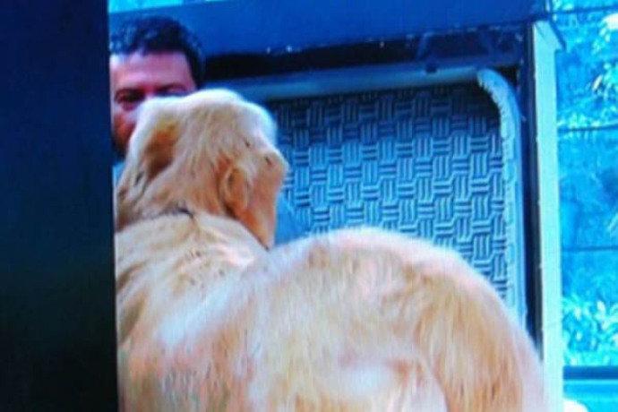 Ana Maria Braga mostra demais: a verdadeira face de Louro José