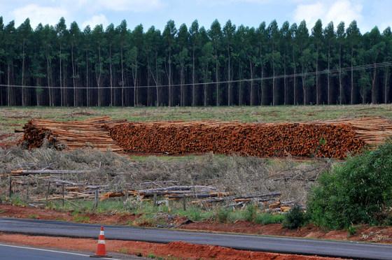 Bancada defende debate sobre venda de terras a estrangeiros