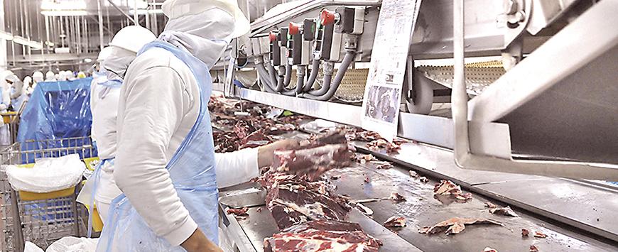 Exportação de industrializados chega a US$ 1 bilhão neste ano