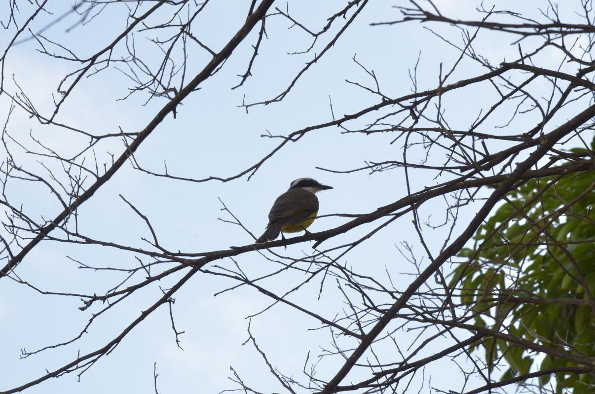 Jardim realiza a 2ª Conferência Regional de Turismo nessa sexta