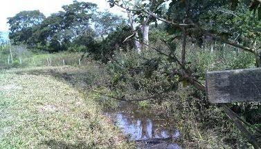 Fazendeira é multada em R$ 5 mil por destruição de matas ciliares