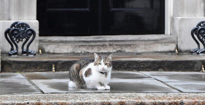 Cameron sai, mas deixa o gato oficial para Theresa May