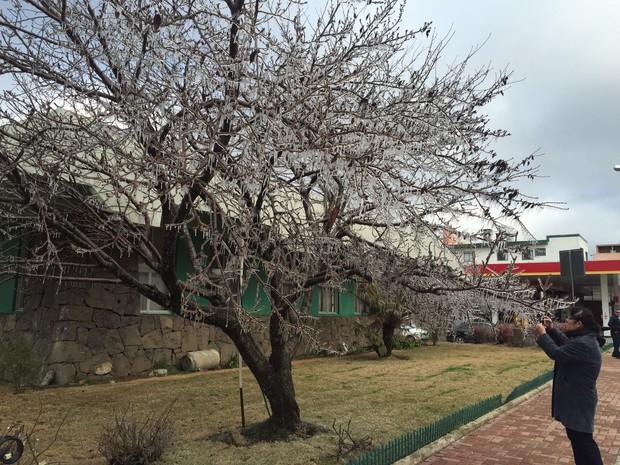 Serra de SC amanhece com neve e -5,4ºC
