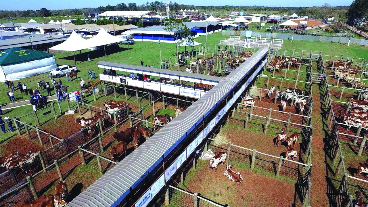 Abertura da 45ª Expobel reafirma o potencial de produção de Bela Vista